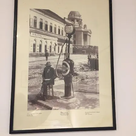 Andjela Dorcol * Βελιγράδι