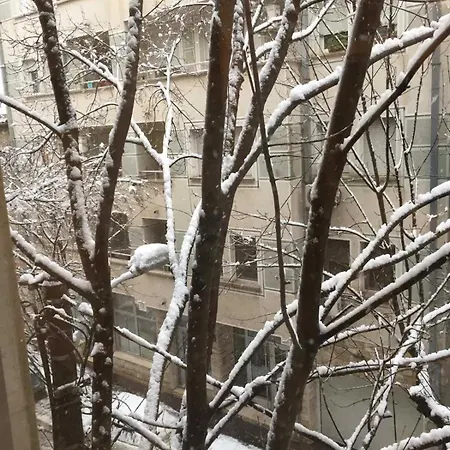 Andjela Dorcol *